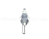 R66250 Aaon Spark Ignitor