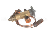 R75110 Aaon Expansion Valve R22