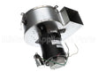 R78310 Aaon 1/4Hp 230V 3400Rpm Comb Assy