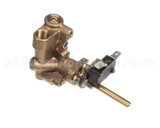 R80036 American Range Valve,Single 13K Grn/Black