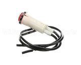 RD100-09A Rankin Delux Burner Ignition Indicator Ligh