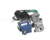 RD85-06 Rankin Delux Solenoid Valve (Burner Gas Val