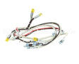 RD85SAE-19 Rankin Delux Wire Harness (1 Per Burner)