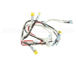 RD85SAE-19 Rankin Delux Wire Harness (1 Per Burner)