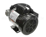 RE824653 Picard Ovens 230V Motor With Plug Re-4-12/Re-8-24
