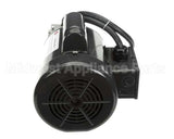 RE824653 Picard Ovens 230V Motor With Plug Re-4-12/Re-8-24