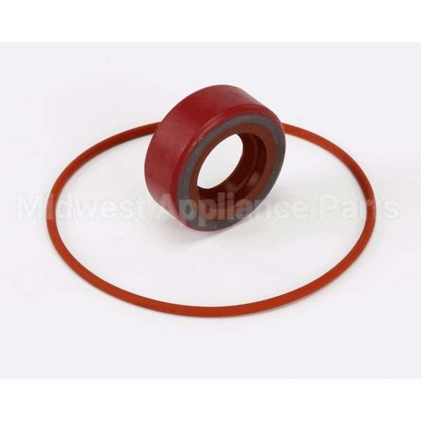 RK0004 Compatible BKI Repairkit, Haight Pump
