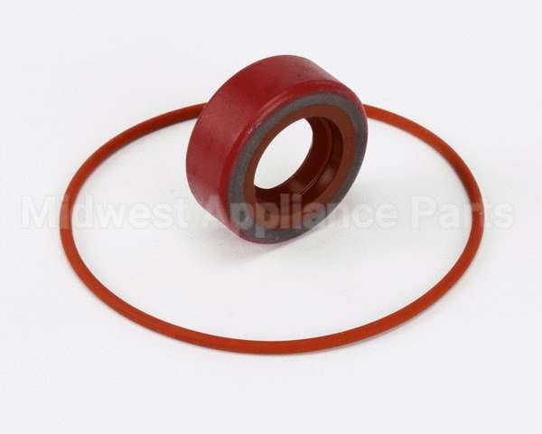 RK0004 Bki Repair Kit, Haight Pump