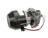 RL2011121 Insinger Complete Wash Pump 208-240V/1P