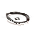 RPC13-245 Compatible Intermetro 250 Volt 16 Lead Red Indicator