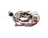 RPC13-442 Intermetro Dual Cav Wiring Harness Digit