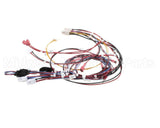 RPC13-560 Intermetro Harness