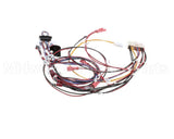 RPC13-560 Intermetro Harness