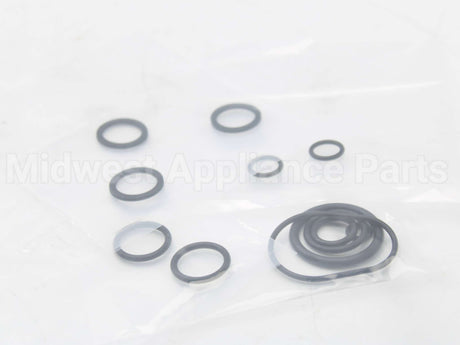 RTG20206 Rheem-Ruud Oring Kit Palona