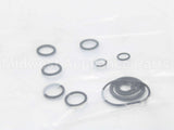 RTG20206 Rheem-Ruud Oring Kit Palona