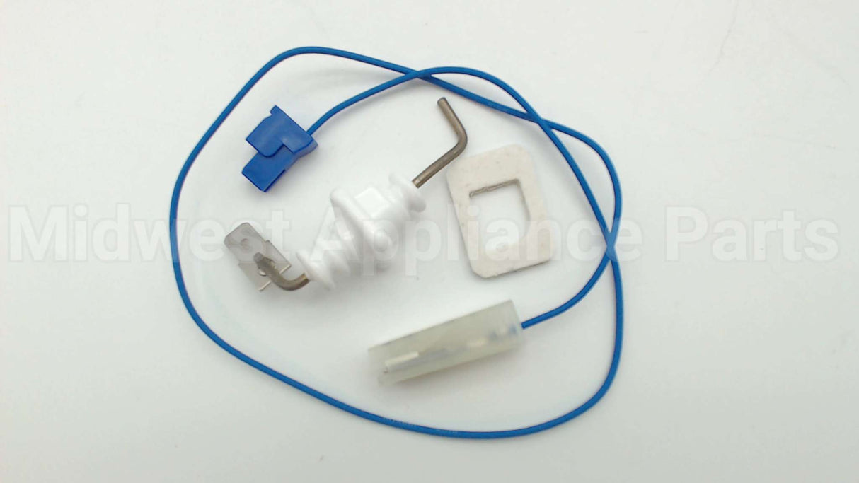 RTG20212BG Rheem-Ruud Electrode Fl2