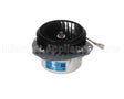 RTG20212K Rheem-Ruud Blowermotor Rtg-199