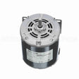 S003 Marathon Motor