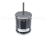 S1-02436016000 York Mtr,Blw,Prgrm,3/4,230V,Std Ecm,Regal