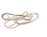 S1-025-35366-003 York Wiring Harness S10