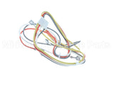 S1-025-35366-003 York Wiring Harness S10