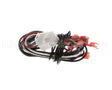 S1-025-41029-000 York Wire Harness