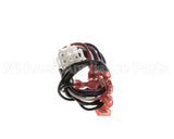 S1-025-41029-000 York Wire Harness