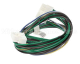 S1-025-41349-000 York 16 Pin Wiring Harness