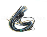 S1-025-46646-000 York Wiring Harness Condenser Motor