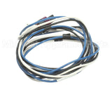 S1-025-49262-000 York Harness Pres Transr Low Od