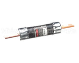 S1-02516371000 York Fuse 100A 250V