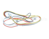 S1-02535366003 York Wiring Harness,S10