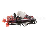 S1-02541029000 York Wiring Harness,9-Pin,Icb,Gas,P1