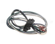 S1-02542647000 York Harness,Motor,Power