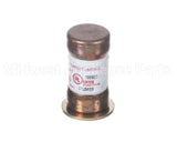 S1-111000559 York Controls Fuse E-Heater 50A