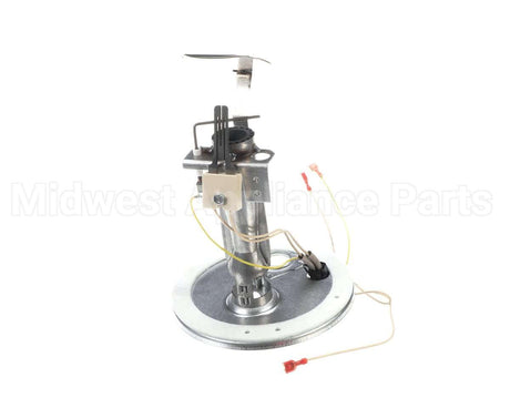 S1-373-19801-403 York Burner Assembly