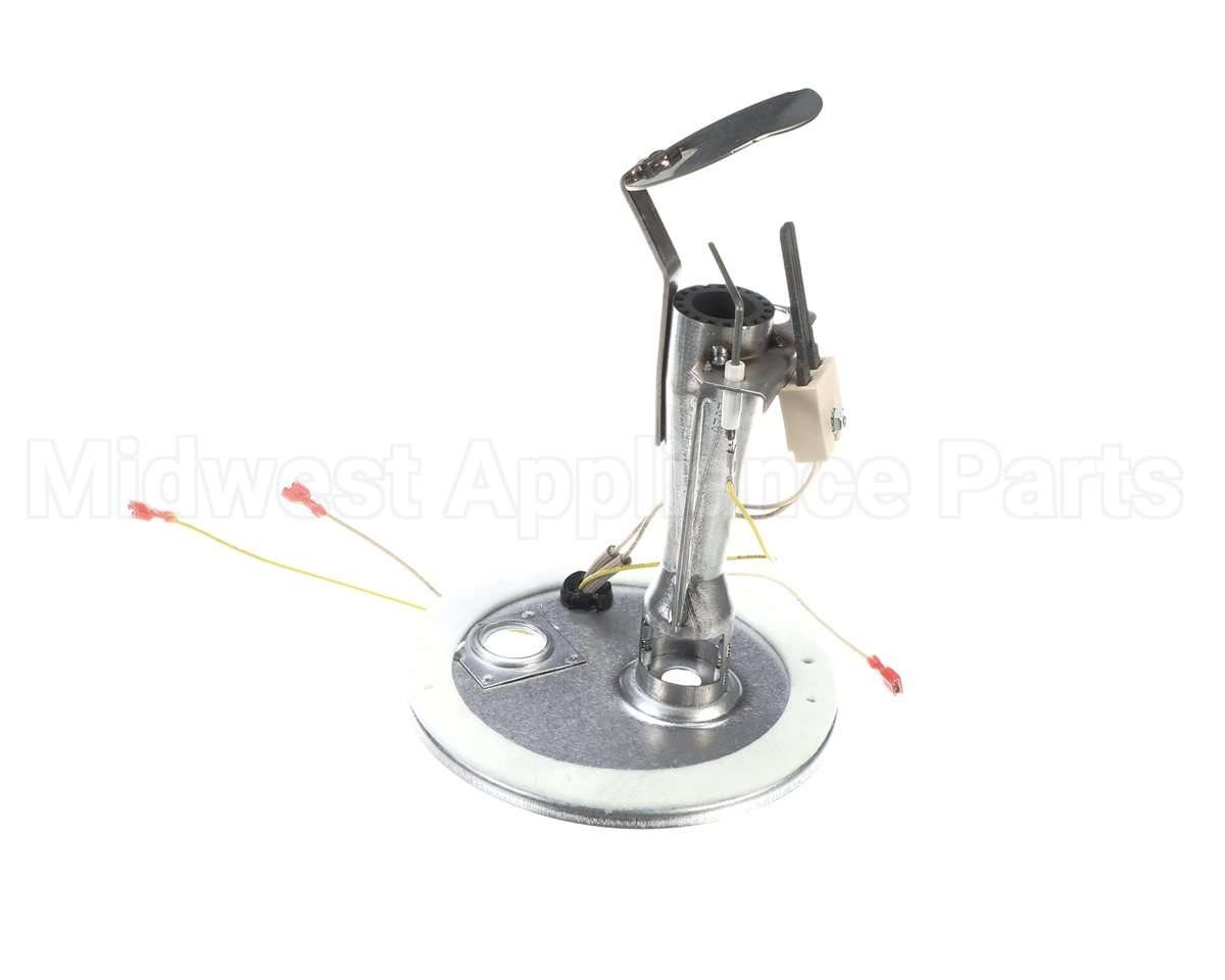 S1-373-19801-403 York Burner Assembly