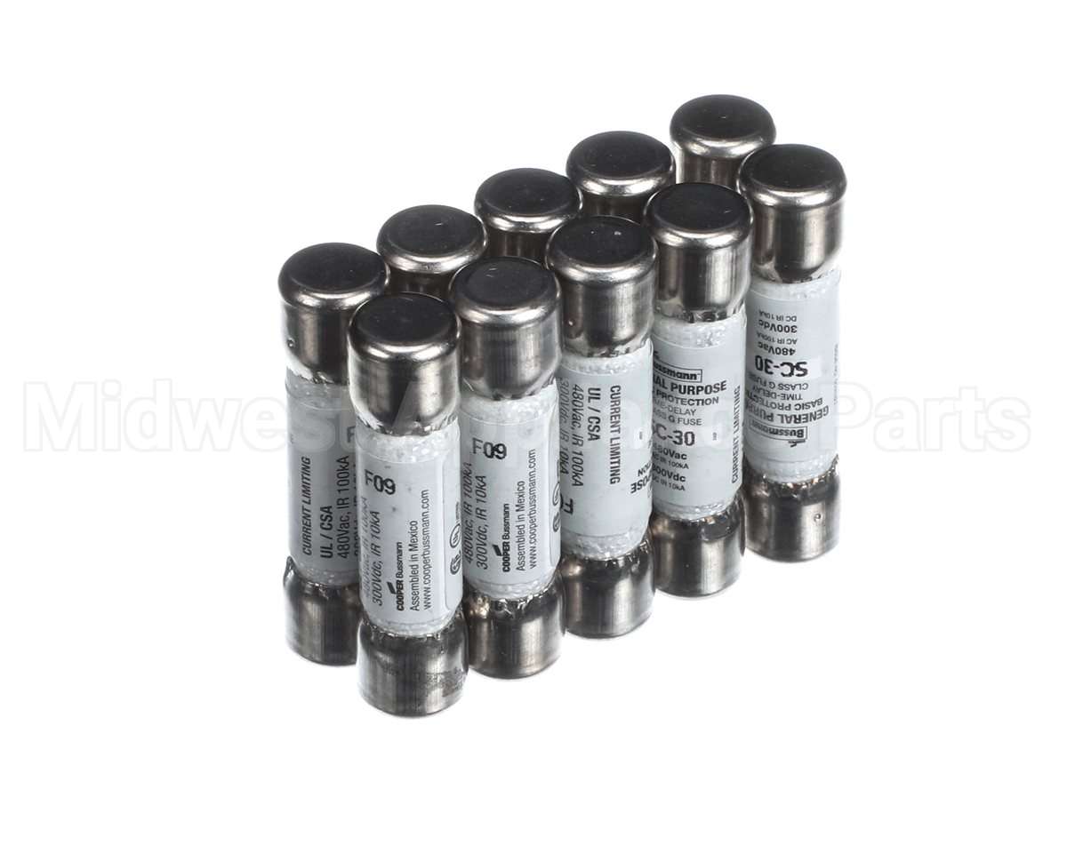 S1-SC30 York 480V Time Delay Buss Fuse 30A