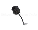 S2828 Cornelius Overld