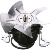 S6641 Compatible Jetspray Agitator Motor