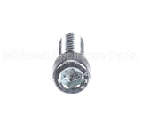 SC-040-77 Hobart Screw