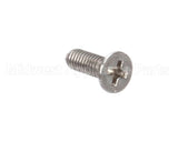 SC-23141 Alto Shaam Screw,M4X0.7X12Mm Flat