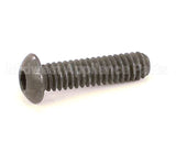 SC01-204 Henny Penny Screw 1/4-20X1.00 Sock Butt Hd