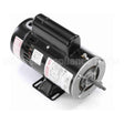 SDS1302 Century Pool And Spa Pump Motor