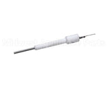 SEN1951 Trane Flame Sensor