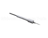 SEN1951 Trane Flame Sensor