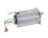 SG9-EC0135 Star Gearmotor, Assy