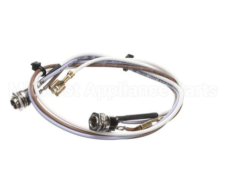 SL300970252 Carpigiani Full Lid Wiring Gbcold