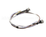SL300970252 Carpigiani Full Lid Wiring Gbcold