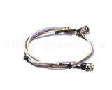 SL300970252 Carpigiani Full Lid Wiring Gbcold